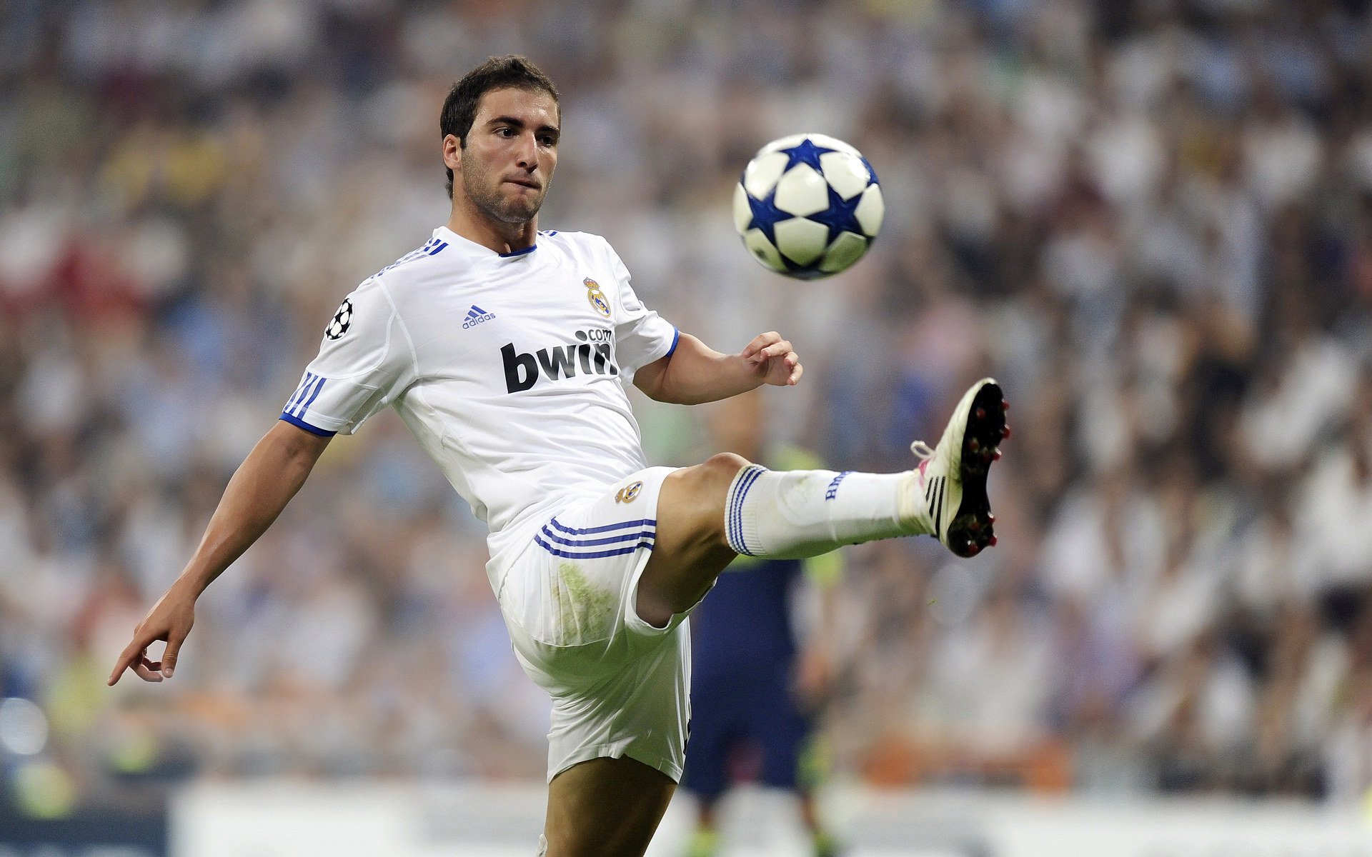 北京国安防守稳定球队士气高涨,北京国安规划球员